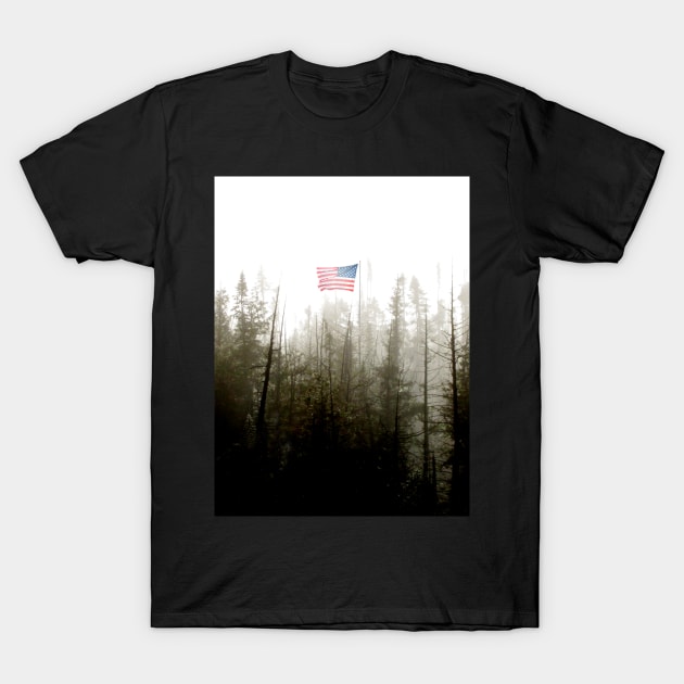 This Flag Flies Free T-Shirt by Dan Teo